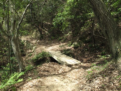 20140602hike (23)